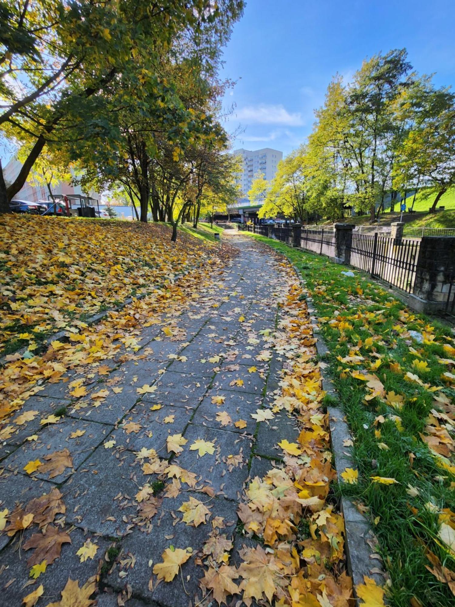 Rawa Boulevard